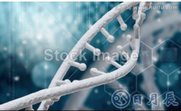 DNA场效应管传感器制备方法解析